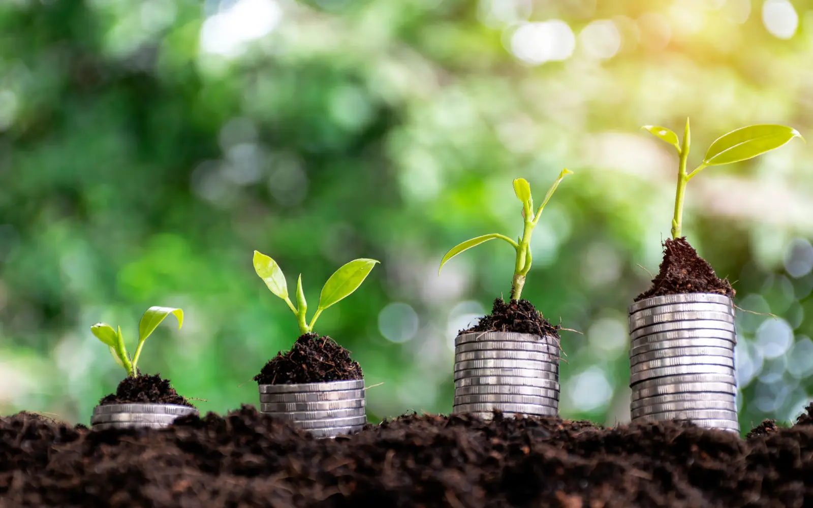 Financial Planning