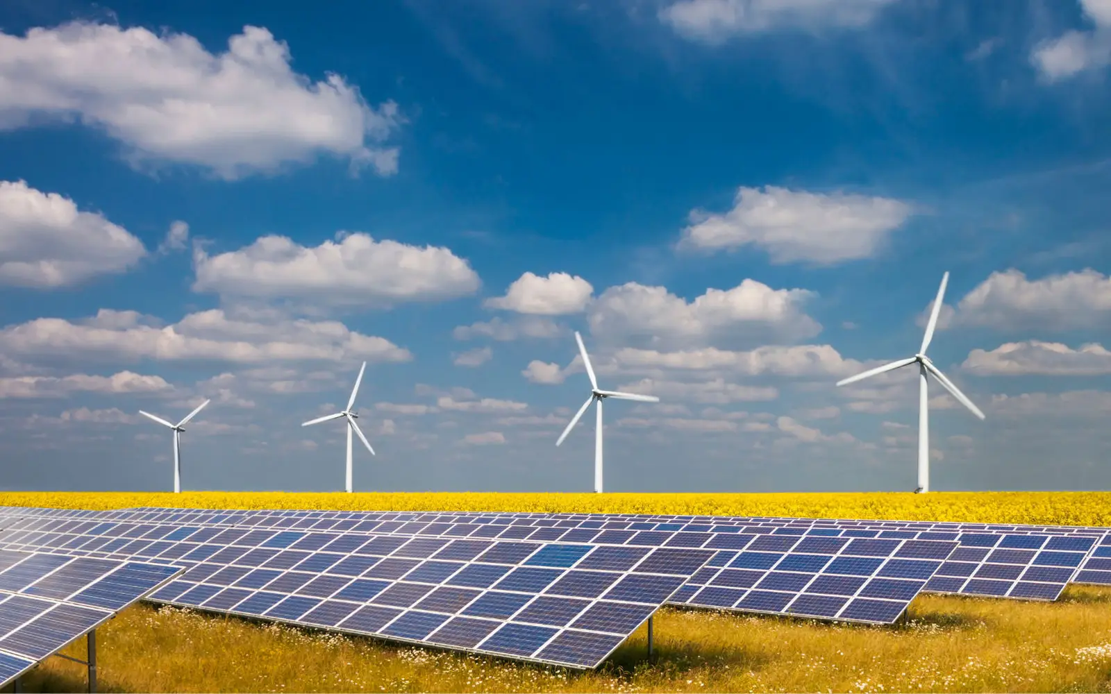 Renewable Energy