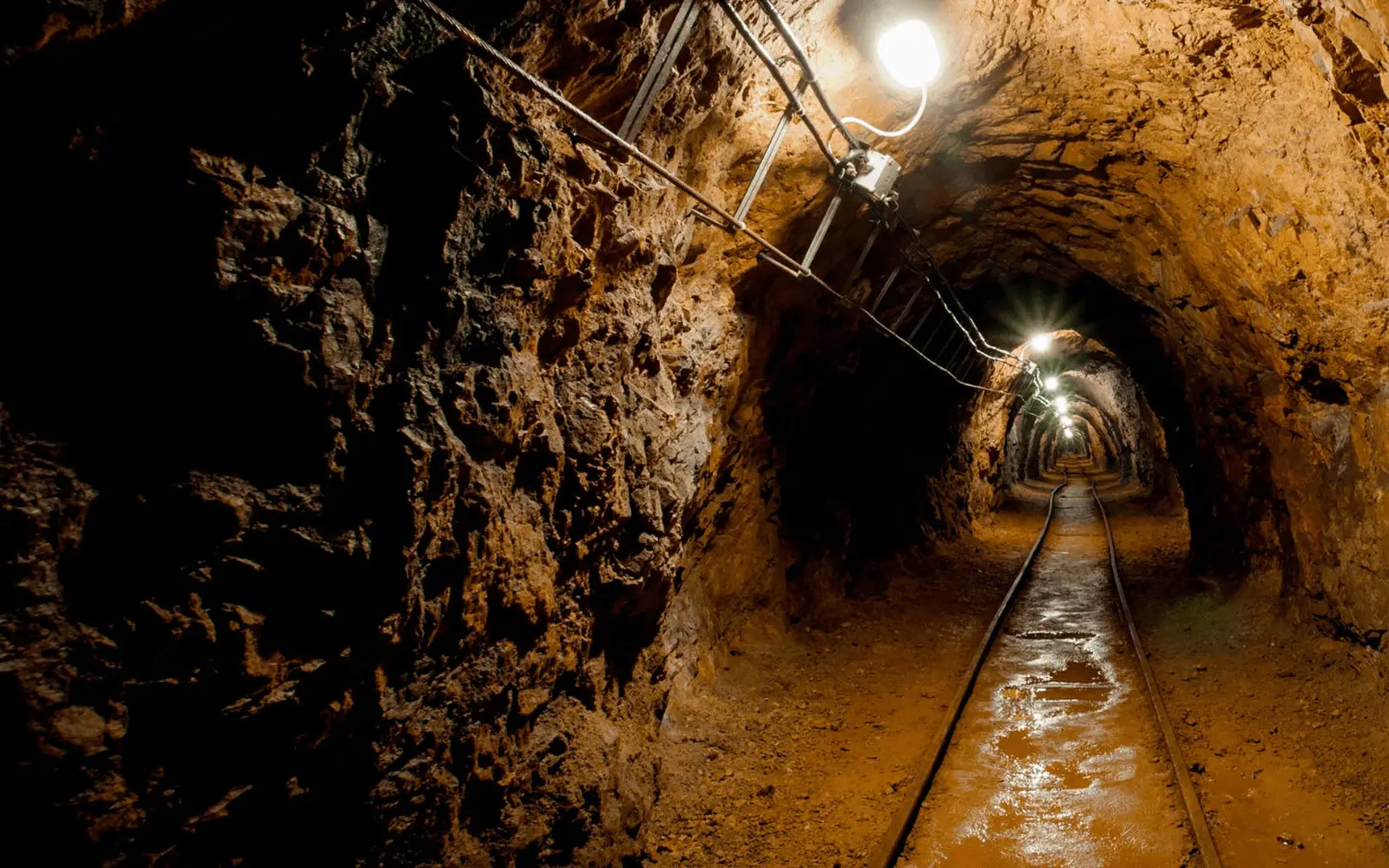 Mining and Speciality Risk
