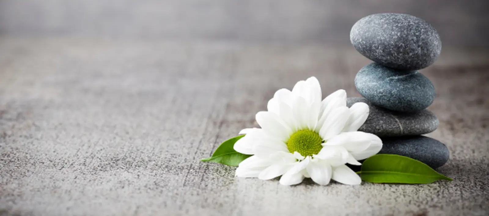 Health and Wellness